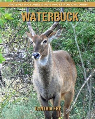 Book cover for Waterbuck