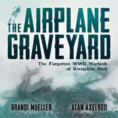 Book cover for The Airplane Graveyard