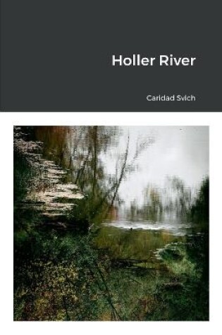 Cover of Holler River