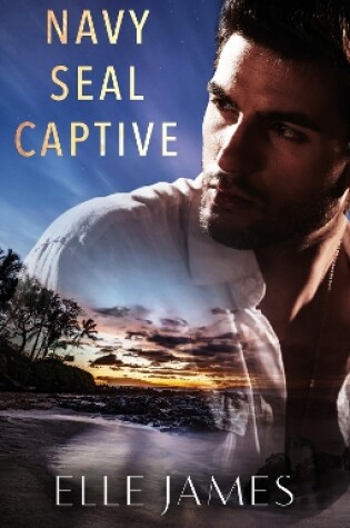 Cover of Navy Seal Captive
