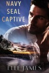Book cover for Navy Seal Captive