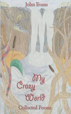 Book cover for My Crazy World