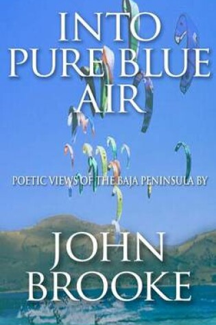 Cover of Into Pure Blue Air