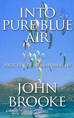 Book cover for Into Pure Blue Air