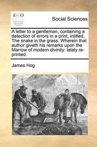 Cover of A Letter to a Gentleman, Containing a Detection of Errors in a Print, Intitled, the Snake in the Grass. Wherein That Author Giveth His Remarks Upon the Marrow of Modern Divinity