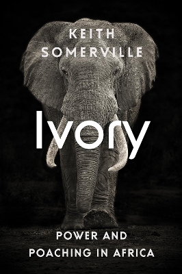 Book cover for Ivory