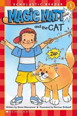 Book cover for Magic Matt and the Cat