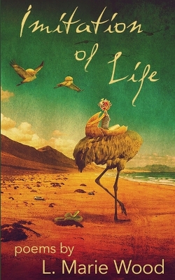 Book cover for Imitation of Life