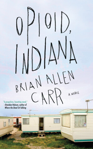 Book cover for Opioid, Indiana