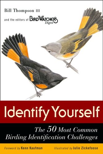 Book cover for Identify Yourself