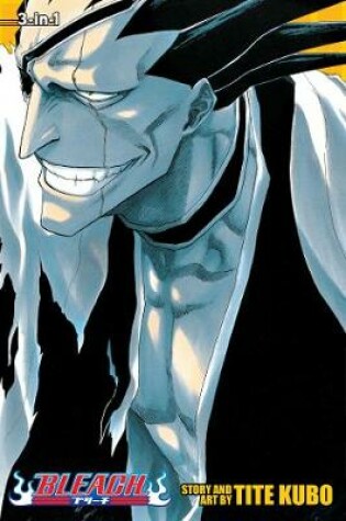 Cover of Bleach (3-in-1 Edition), Vol. 5