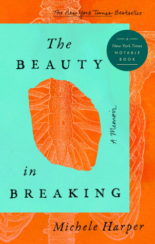 Book cover for The Beauty in Breaking