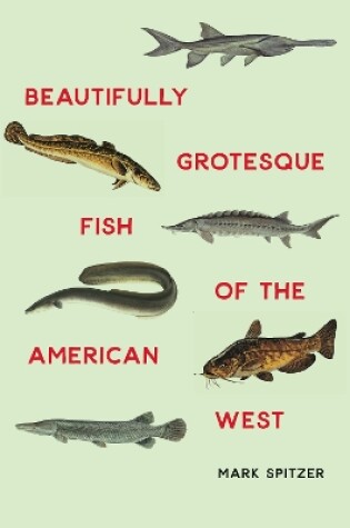 Cover of Beautifully Grotesque Fish of the American West