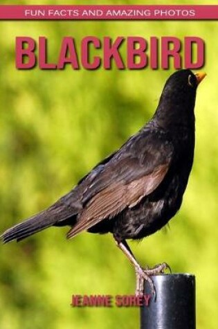 Cover of Blackbird