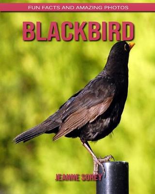 Book cover for Blackbird