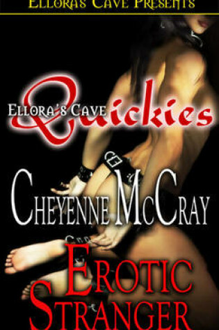Cover of Erotic Stranger