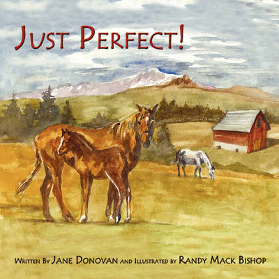 Book cover for Just Perfect!