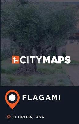 Book cover for City Maps Flagami Florida, USA