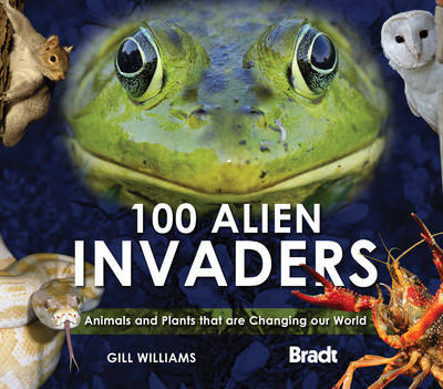 Book cover for 100 Alien Invaders