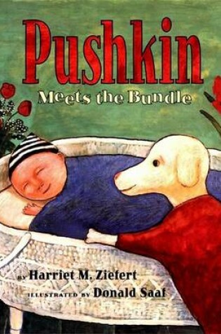 Cover of Pushkin Meets the Bundle