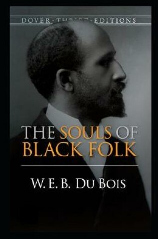 Cover of The souls of black folk illustrated
