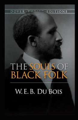 Book cover for The souls of black folk illustrated
