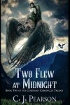 Book cover for Two Flew at Midnight