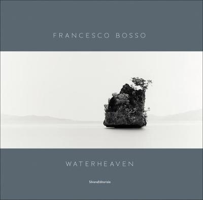 Book cover for Francesco Bosso