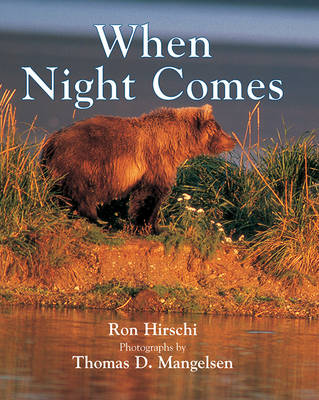 Book cover for When Night Comes