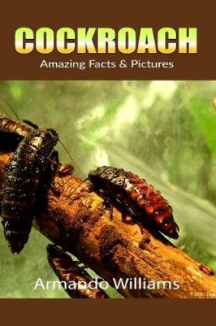 Cover of Cockroach