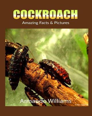 Book cover for Cockroach