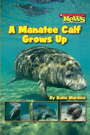 Cover of A Manatee Calf Grows Up