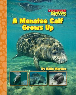 Book cover for A Manatee Calf Grows Up