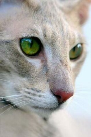 Cover of Oriental Cat Journal "Keep It Up, Human. Your Bathtub Will Be My Litter Box."