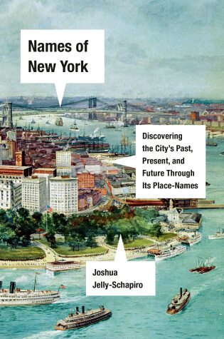 Cover of Names of New York