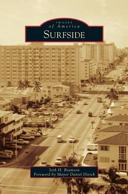 Book cover for Surfside