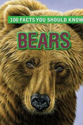 Cover of Bears