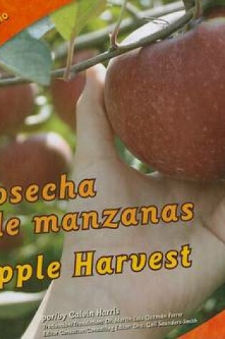 Cover of La Cosecha de Manzanas/Apple Harvest