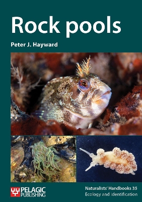 Book cover for Rock pools