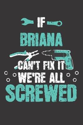 Book cover for If BRIANA Can't Fix It