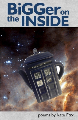 Book cover for Bigger on the Inside