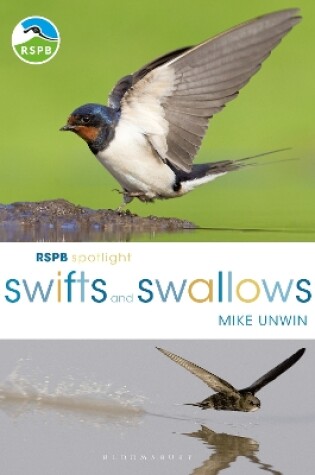 Cover of RSPB Spotlight Swifts and Swallows