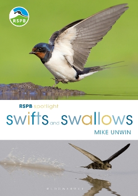 Book cover for RSPB Spotlight Swifts and Swallows