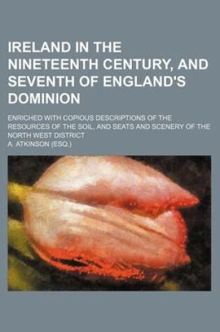 Cover of Ireland in the Nineteenth Century, and Seventh of England's Dominion; Enriched with Copious Descriptions of the Resources of the Soil, and Seats and Scenery of the North West District