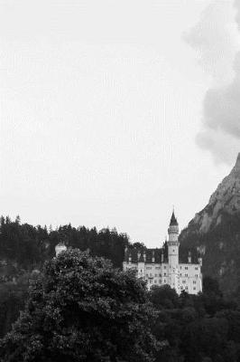 Book cover for European Castle on a Hill