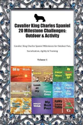 Book cover for Cavalier King Charles Spaniel 20 Milestone Challenges