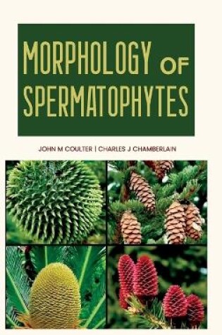 Cover of Morphology of Spermatophytes