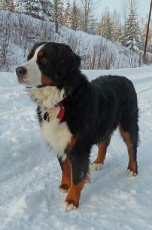 Cover of Bernese Mountain Dog in the Snow for the Love of Dogs