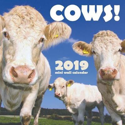 Book cover for Cows! 2019 Mini Wall Calendar
