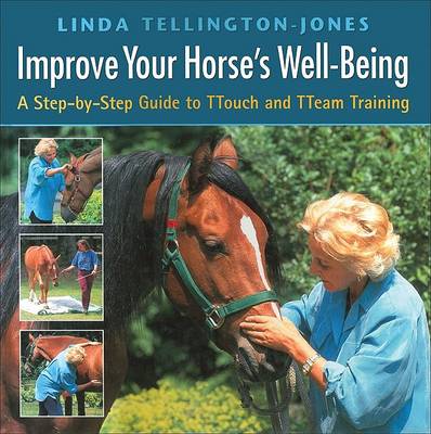 Book cover for Improve Your Horse's Well-being